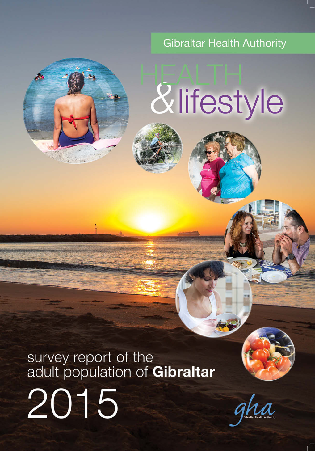 GHA Lifestyle Report2015lr.Pdf
