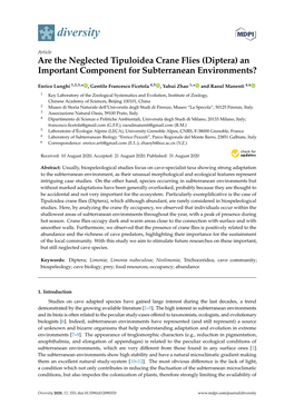 Are the Neglected Tipuloidea Crane Flies (Diptera) an Important Component for Subterranean Environments?