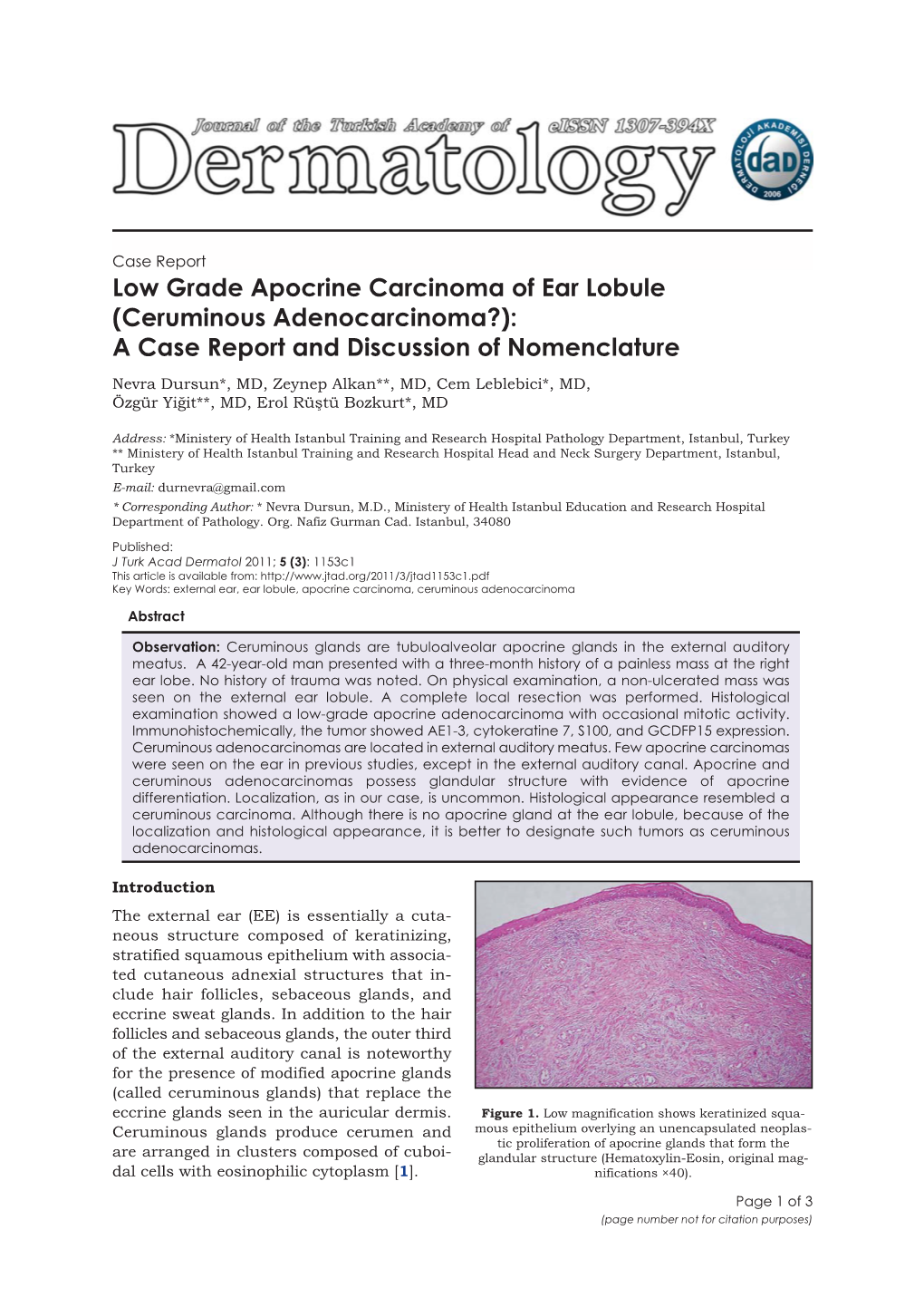 Low Grade Apocrine Carcinoma of Ear Lobule (Ceruminous Adenocarcinoma?): a Case Report and Discussion of Nomenclature