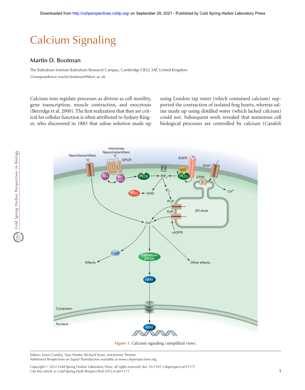 Calcium Signaling