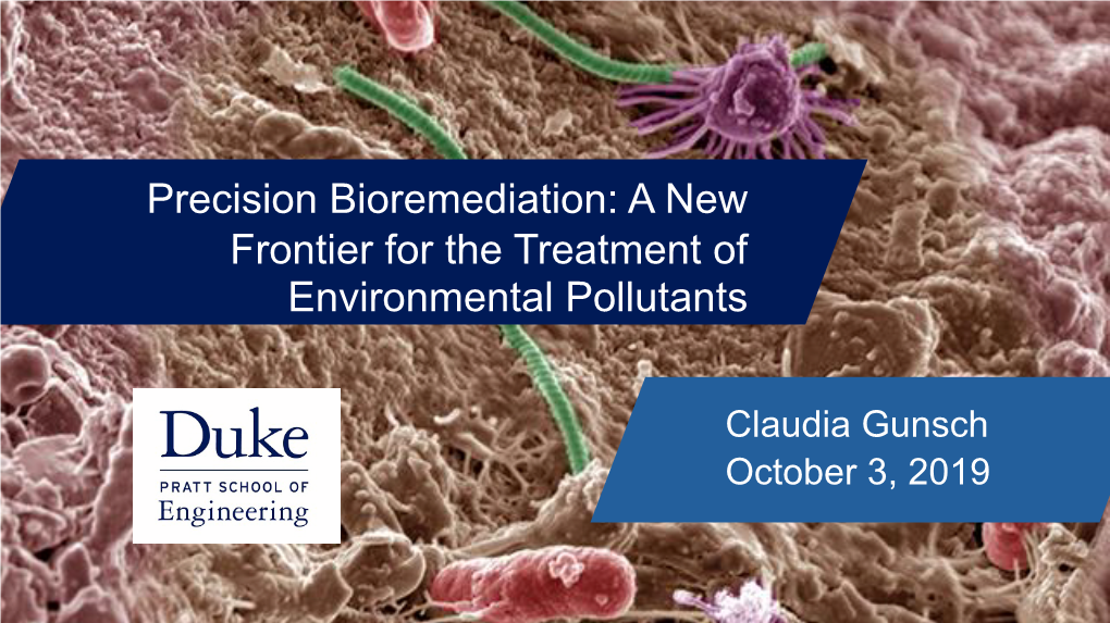 Precision Bioremediation: a New Frontier for the Treatment of Environmental Pollutants