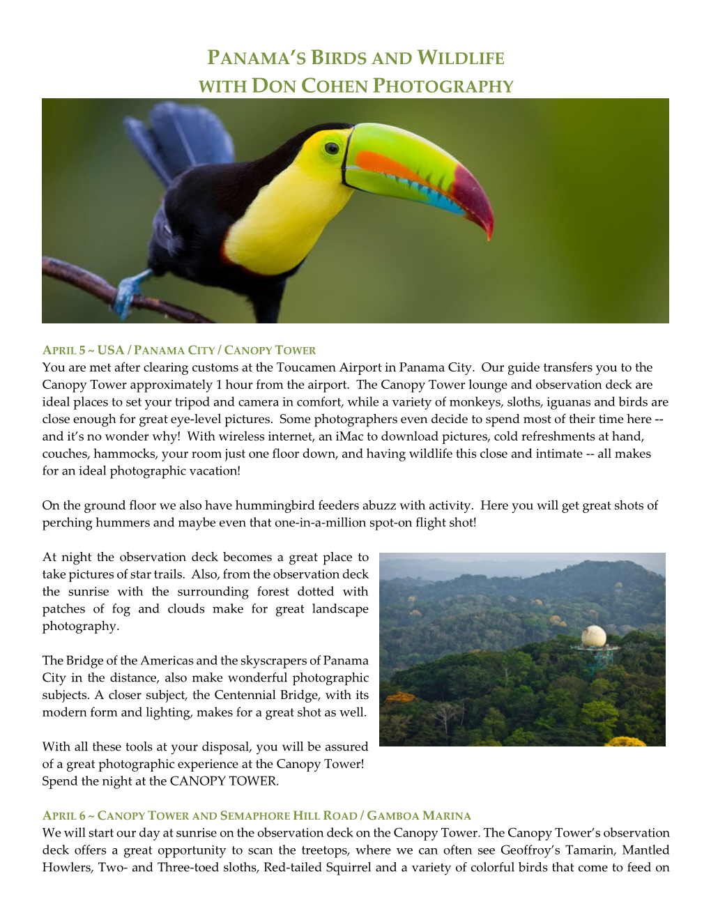 Panama's Birds and Wildlife with Don Cohen Photography