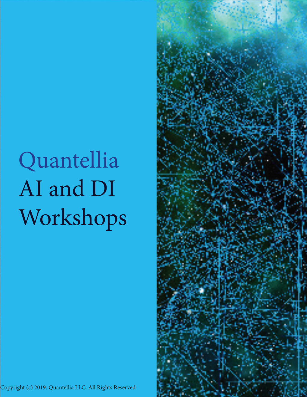 Quantellia AI and DI Workshops