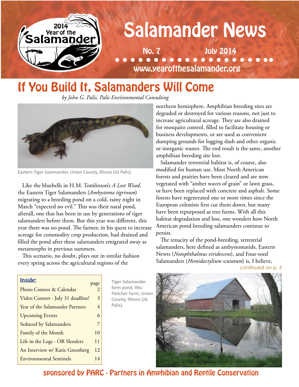 Salamander News