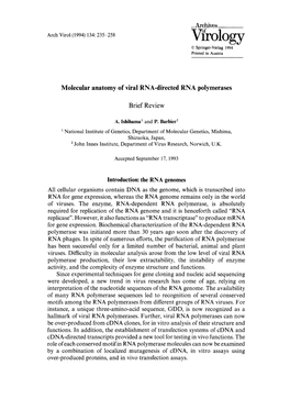 Molecular Anatomy of Viral RNA-Directed RNA Polymerases