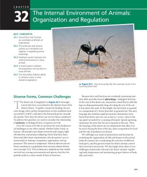 The Internal Environment of Animals: 32 Organization and Regulation