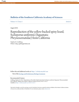 Reproduction of the Yellow-Backed Spiny Lizard, Sceloporus Uniformis (Squamata: Phrynosomatidae) from California Stephen R