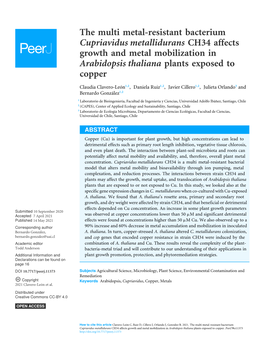 The Multi Metal-Resistant Bacterium Cupriavidus Metallidurans CH34 Affects Growth and Metal Mobilization in Arabidopsis Thaliana Plants Exposed to Copper