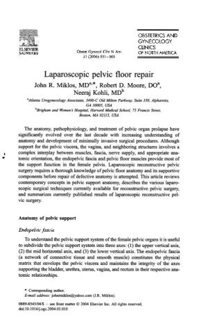 Laparoscopic Pelvic Floor Repair in 2004 (Sacral Colpopexy)