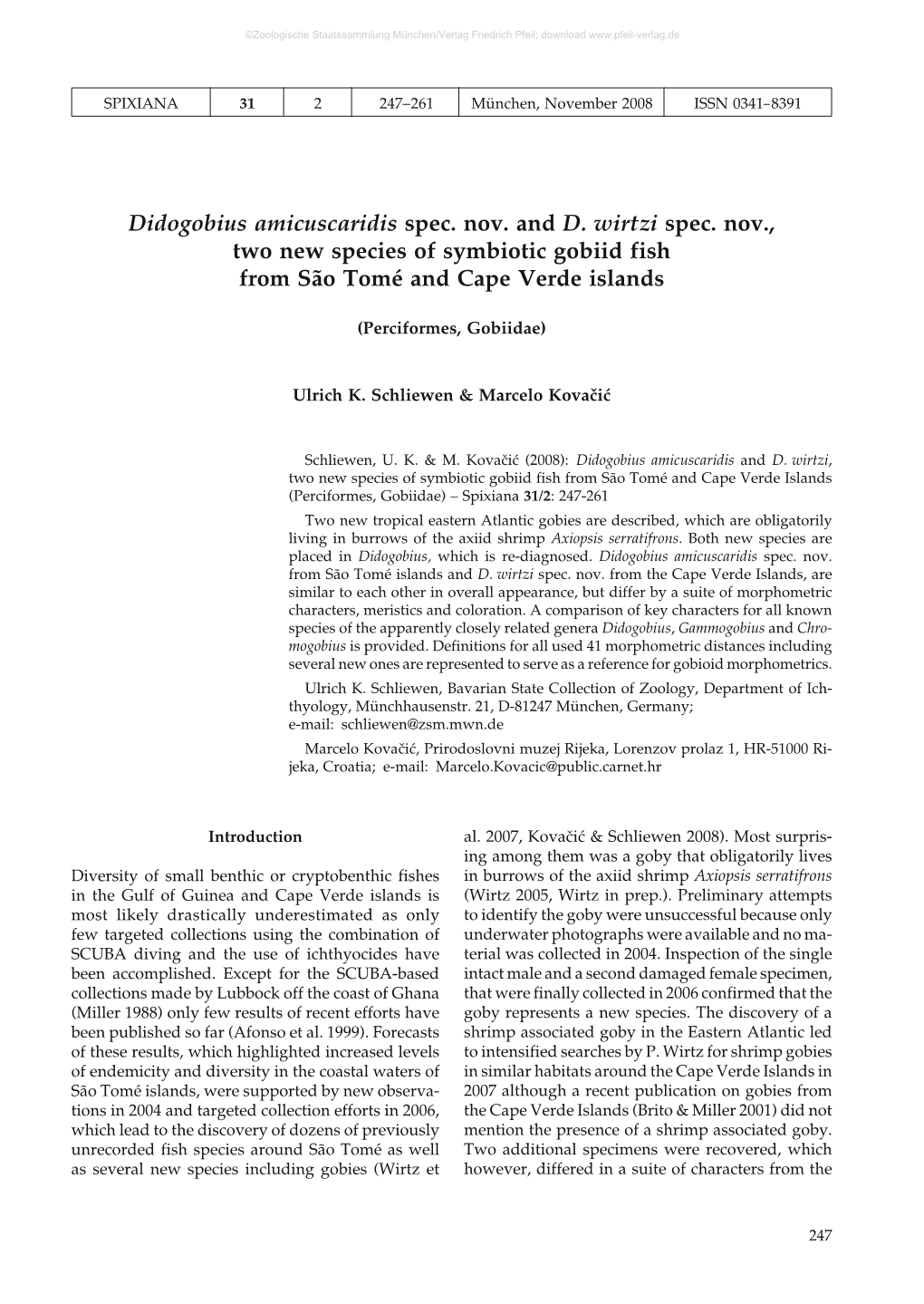 Didogobius Amicuscaridis Spec. Nov. and D. Wirtzi Spec. Nov., Two New Species of Symbiotic Gobiid Fish from São Tomé and Cape Verde Islands