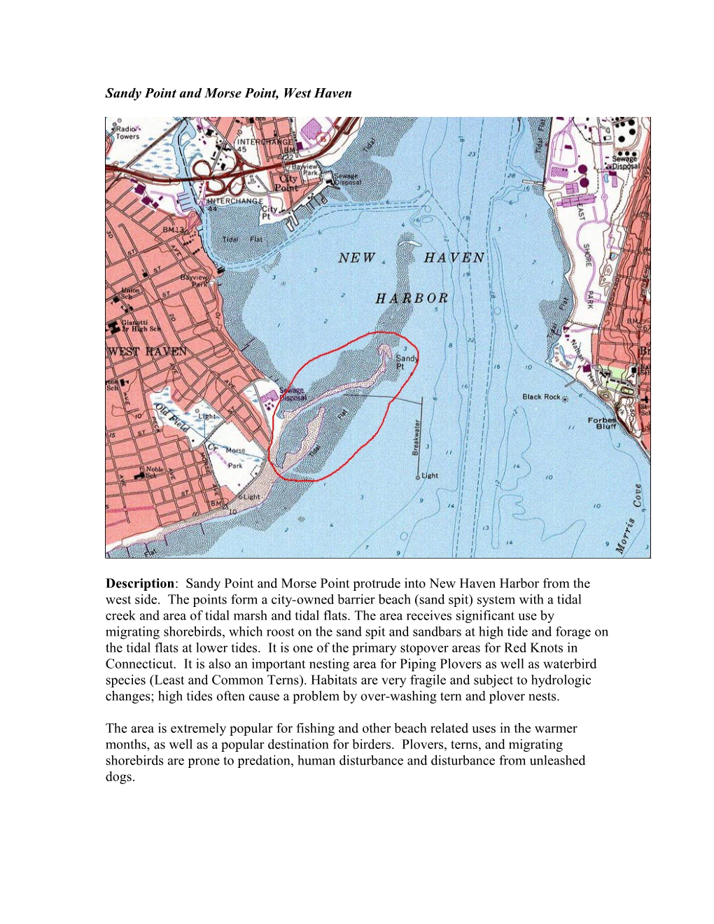 Sandy Point and Morse Point, West Haven