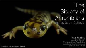 BOA3.2 Salamander Taxonomy and Biodiversity.Key