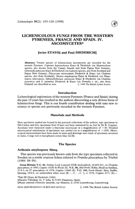 Lichenicolous Fungi from the Western Pyrenees, France and Spain. Iv