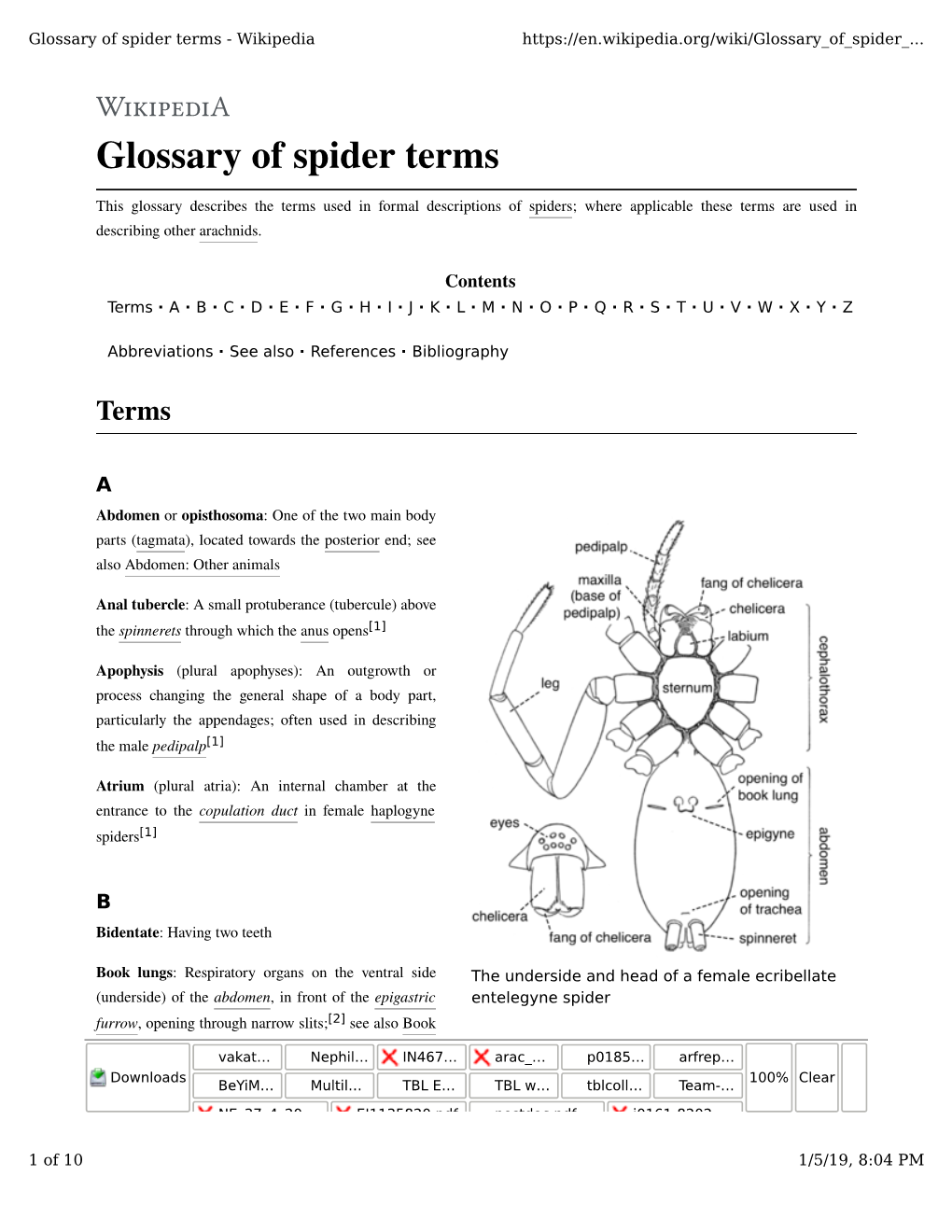 Glossary of Spider Terms - Wikipedia