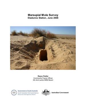 Marsupial Mole Survey 2008