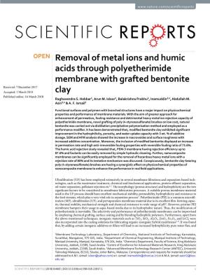 Removal of Metal Ions and Humic Acids Through Polyetherimide