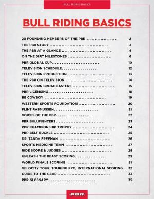 Bull Riding Basics