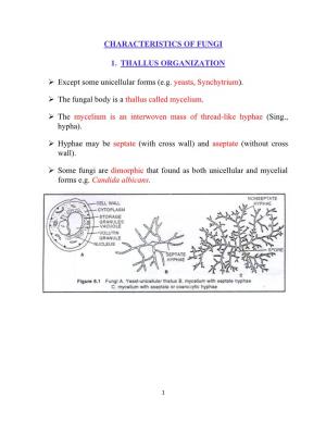 Characteristics of Fungi 1. Thallus