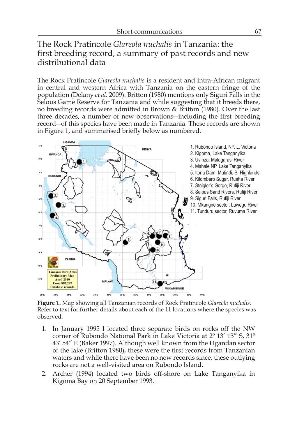 The Rock Pratincole Glareola Nuchalis in Tanzania: the First Breeding Record, a Summary of Past Records and New Distributional Data