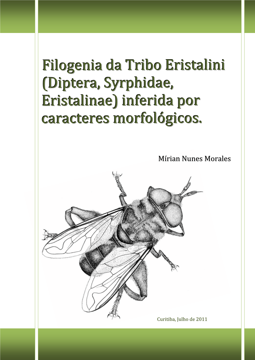 Filogenia Da Tribo Eristalini (Diptera, Syrphidae, Eristalinae) Inferida Por Caracteres Morfológicos