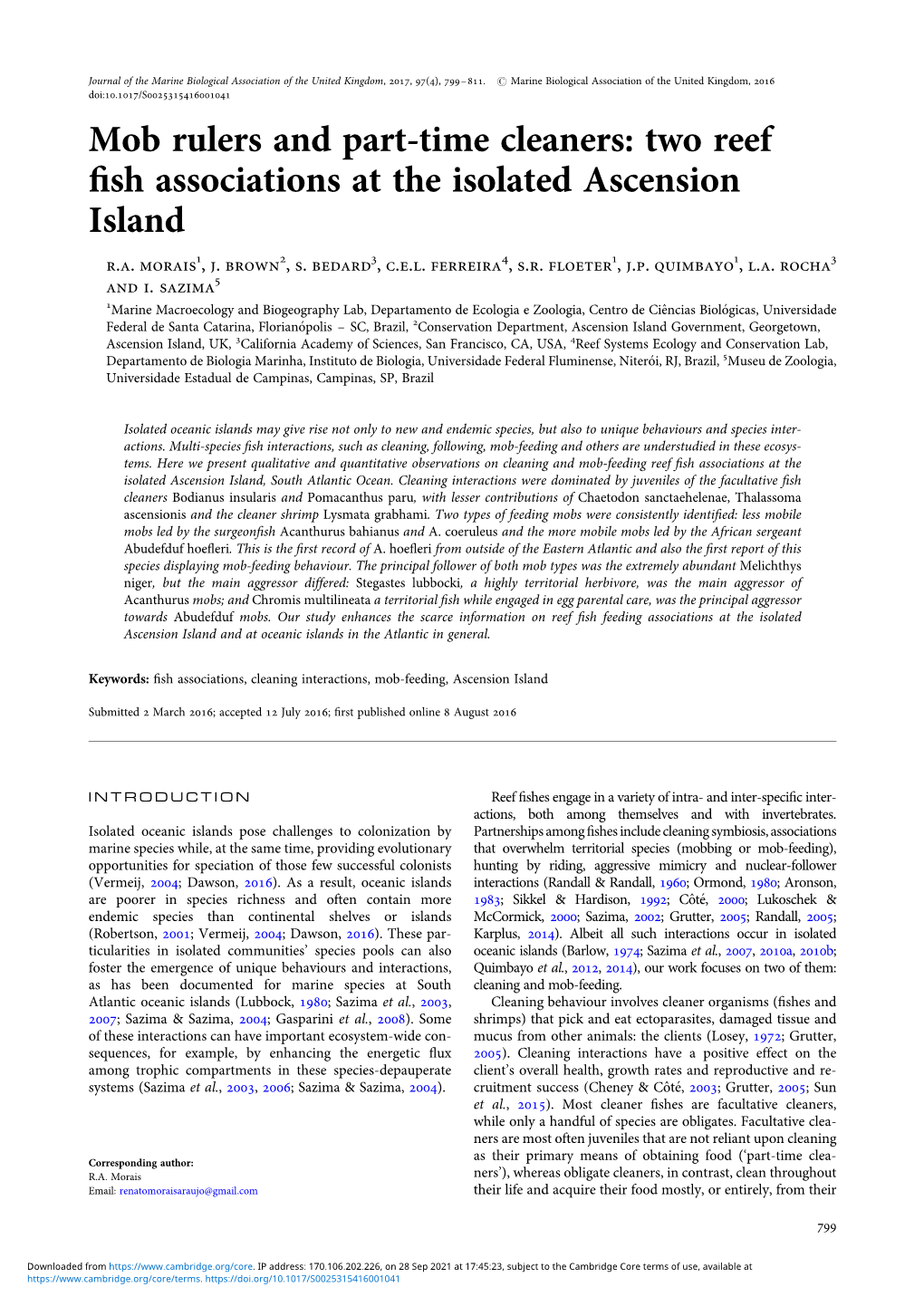 Two Reef Fish Associations at the Isolated Ascension Island