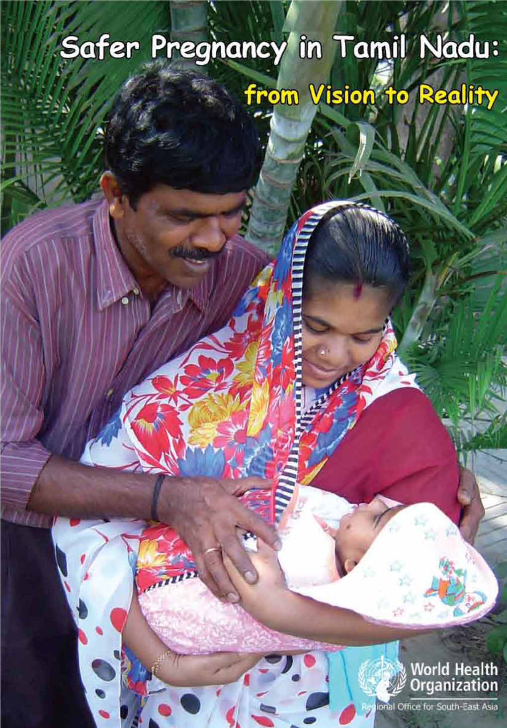 Safer Pregnancy in Tamil Nadu: from Vision to Reality