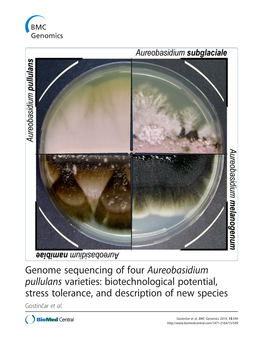 Aureobasidium Pullulans Varieties: Biotechnological Potential, Stress Tolerance, and Description of New Species Gostinčar Et Al