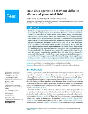 How Does Agonistic Behaviour Differ in Albino and Pigmented Fish?