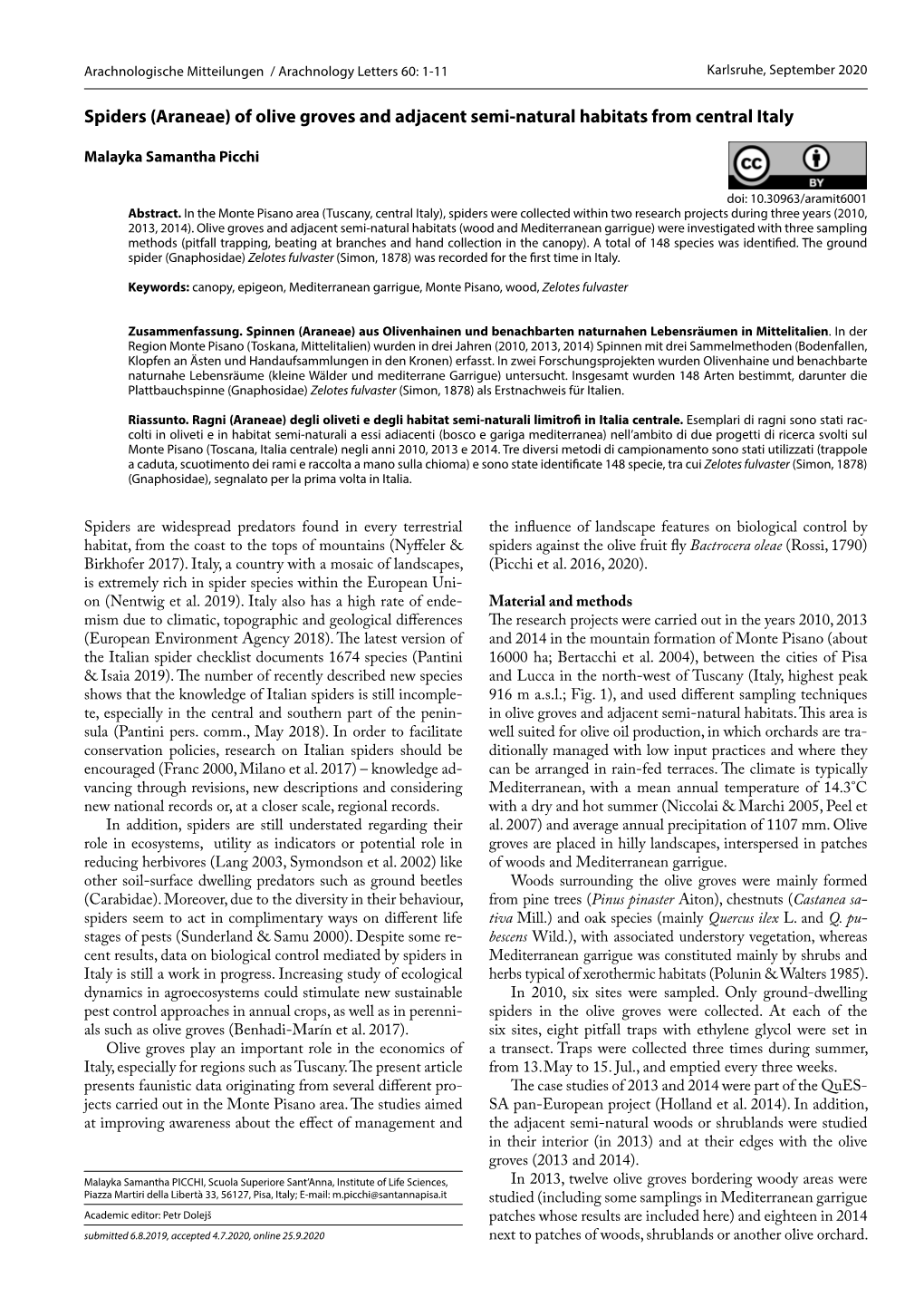 Spiders (Araneae) of Olive Groves and Adjacent Semi-Natural Habitats from Central Italy