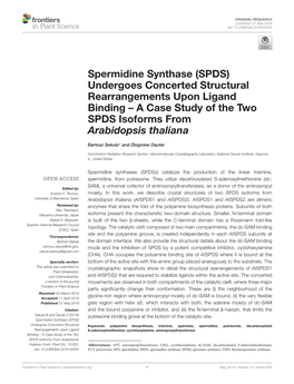 Spermidine Synthase (SPDS) Undergoes Concerted Structural Rearrangements Upon Ligand Binding – a Case Study of the Two SPDS Isoforms from Arabidopsis Thaliana