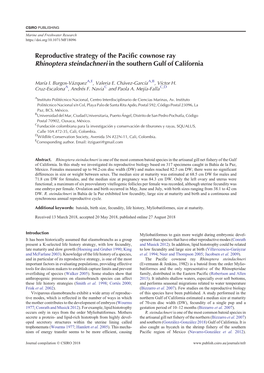 Reproductive Strategy of the Pacific Cownose Ray Rhinoptera Steindachneri in the Southern Gulf of California