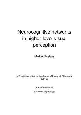 Neurocognitive Networks in Higher-Level Visual Perception