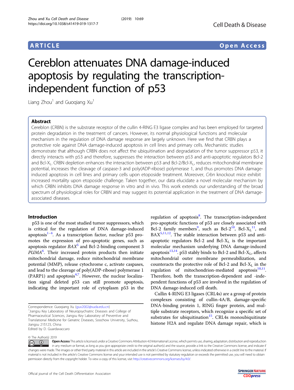 Cereblon Attenuates DNA Damage-Induced Apoptosis by Regulating the Transcription-Independent Function Of