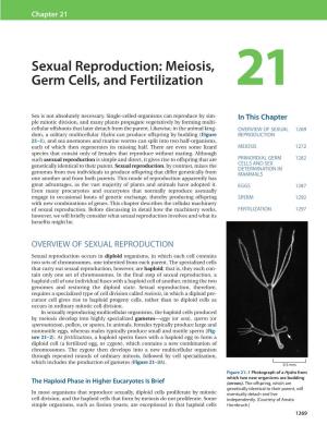 Sexual Reproduction: Meiosis, Germ Cells, and Fertilization 21