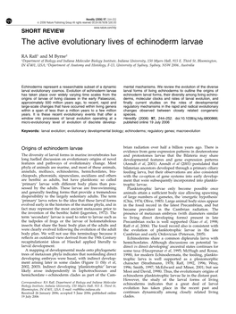 The Active Evolutionary Lives of Echinoderm Larvae