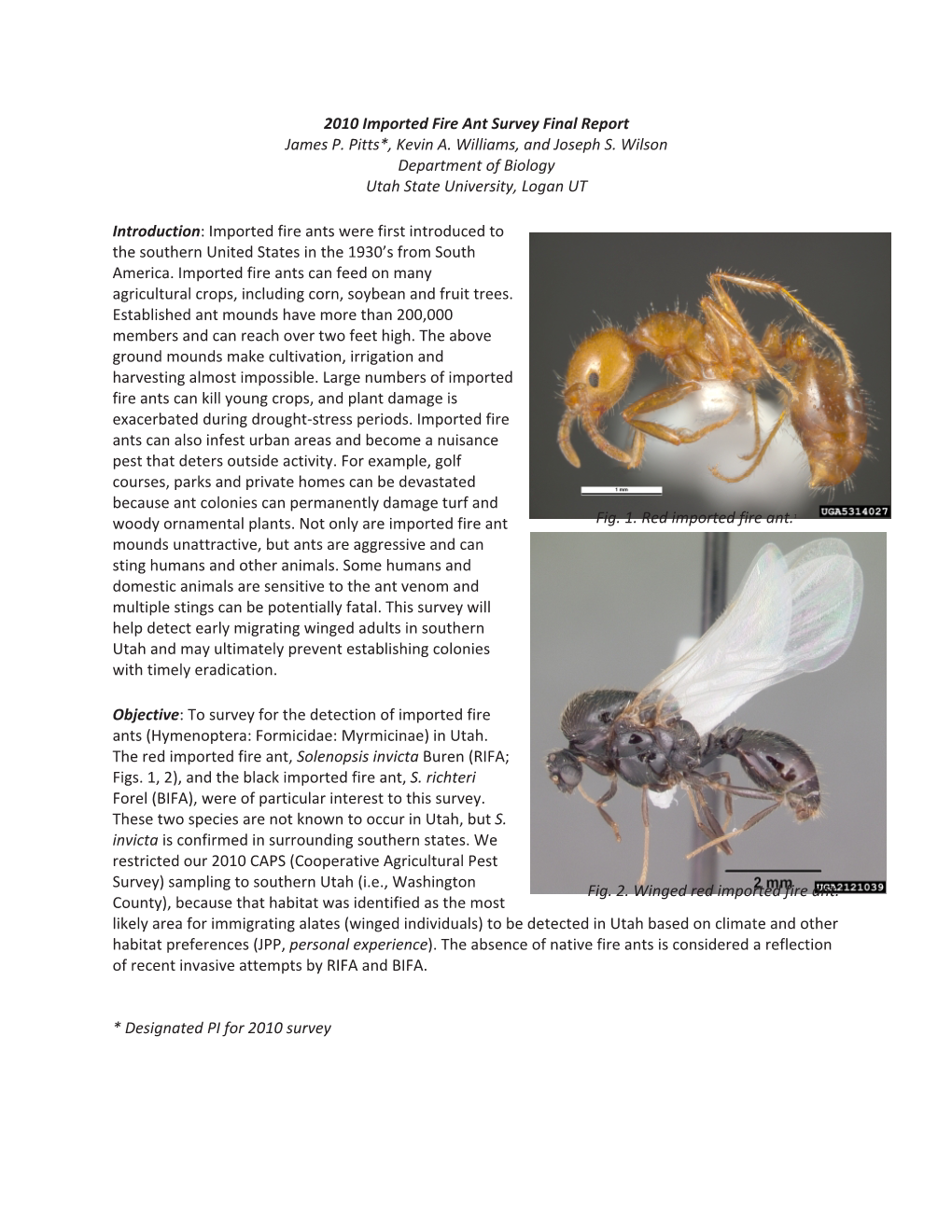 2010 Imported Fire Ant Survey Final Report James P. Pitts*, Kevin A