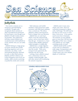 Jellyfish Exist in Many Sizes, Mysterious and Intimidating Members of This Group Have Radial Shapes and Colors