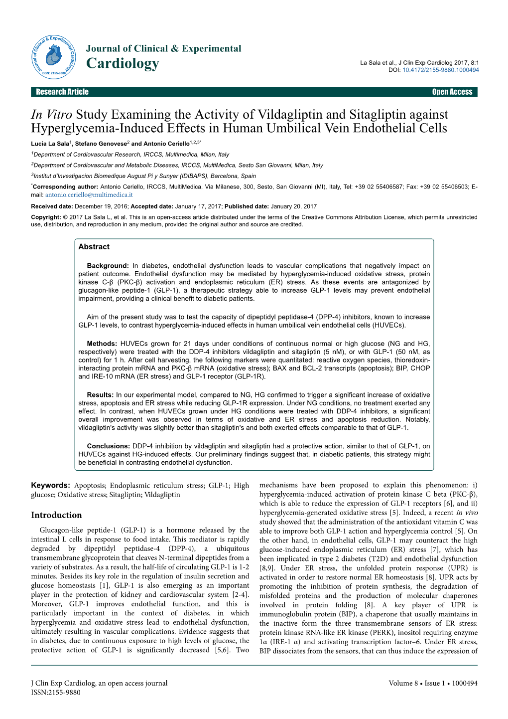 In Vitro Study Examining the Activity of Vildagliptin and Sitagliptin Against