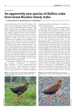 An Apparently New Species of Rallina Crake from Great Nicobar Island, India S