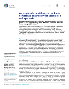 A Cytoplasmic Peptidoglycan Amidase Homologue Controls Mycobacterial