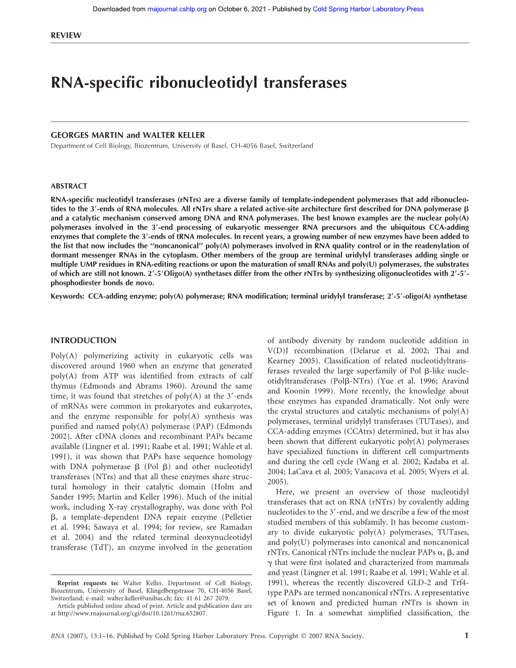 RNA-Specific Ribonucleotidyl Transferases