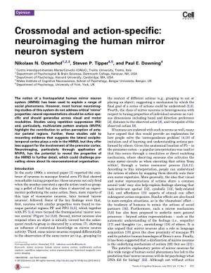 Neuroimaging the Human Mirror Neuron System