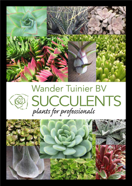 SUCCULENTS Plants for Professionals