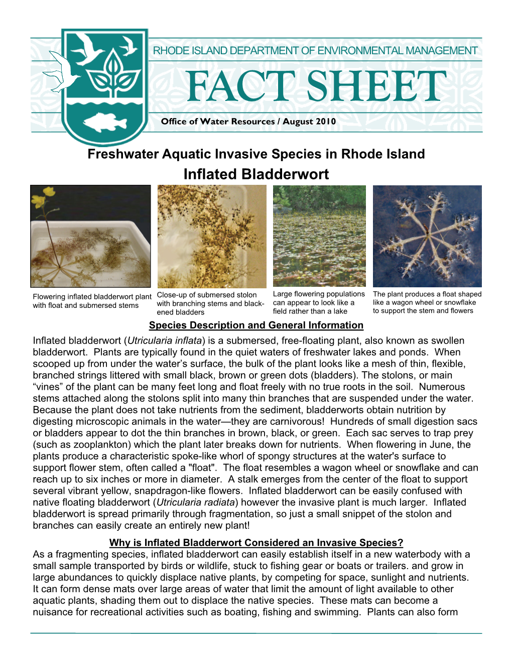 AIS Inflated Bladderwort Fact Sheet