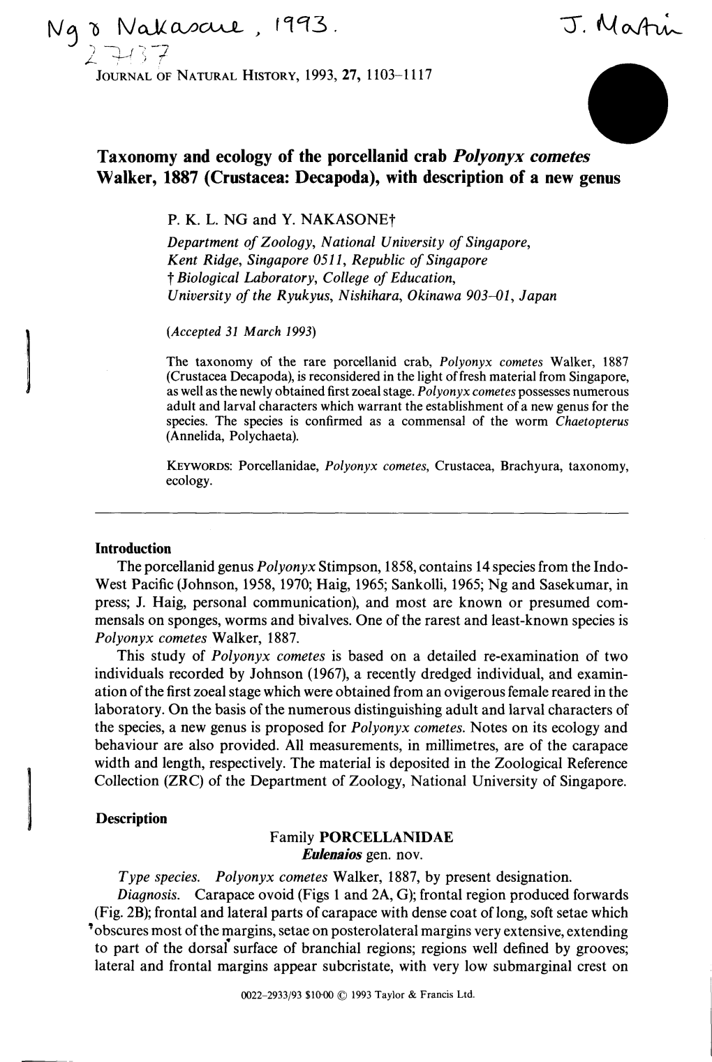 Taxonomy and Ecology of the Porcellanid Crab Polyonyx Cometes Walker, 1887 (Crustacea: Decapoda), with Description of a New Genus