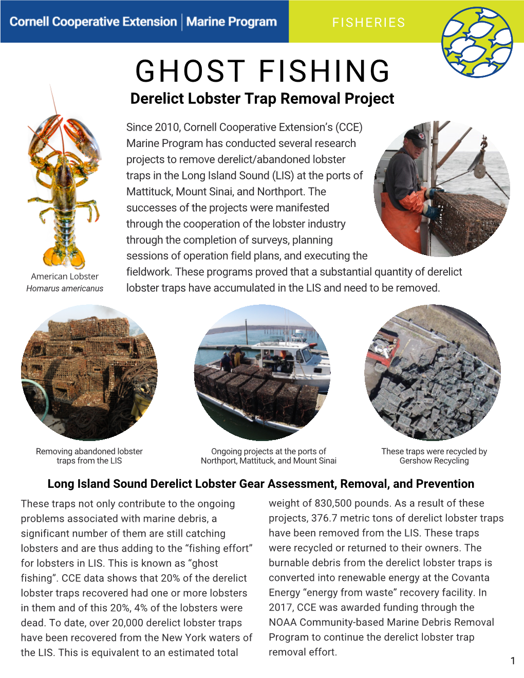 Derelict Lobster Trap Removal Project