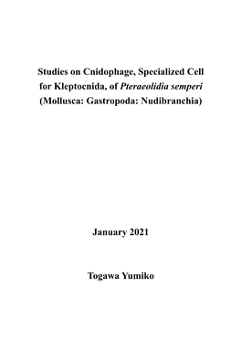 Studies on Cnidophage, Specialized Cell for Kleptocnida, of Pteraeolidia Semperi (Mollusca: Gastropoda: Nudibranchia)