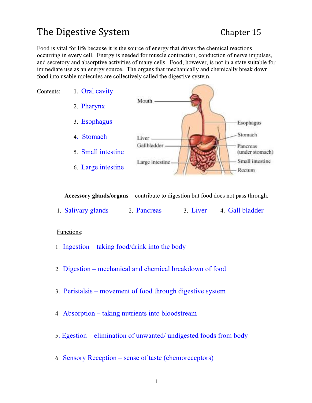 The Digestive System Chapter 15