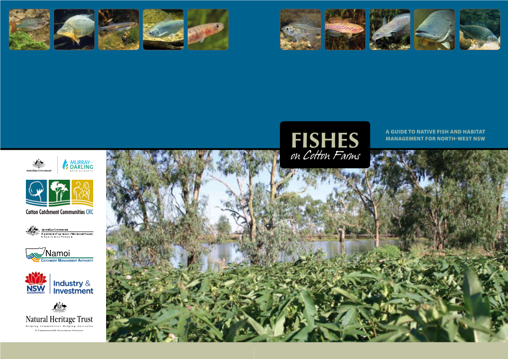 Fishes Management for North-West NSW on Cotton Farms