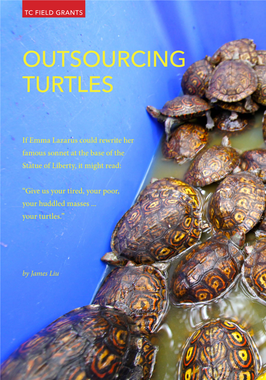 Turtle Conservancy: “Outsourcing Turtles”